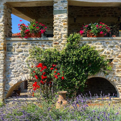 La Loggia Fiorita, villa in Toscana circondata dai profumi e dai colori della natura